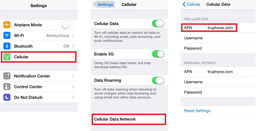 Find the APN Settings on iPhone screenshot