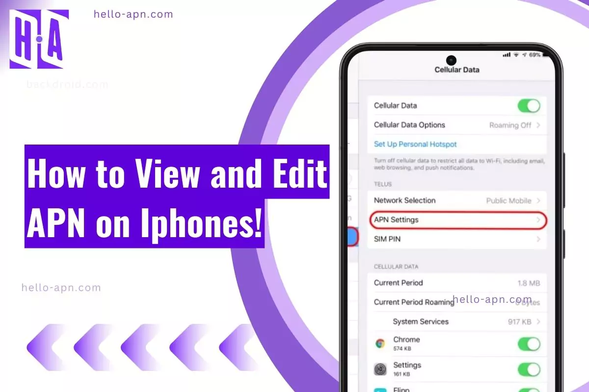 illustrative graphic showcasing the steps to view and edit APN settings on an iPhone, highlighting the 'APN Settings' option under Cellular Data in the iOS Settings app.