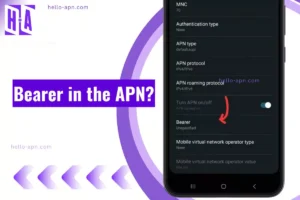 Bearer in APN, You Should Know (explained)