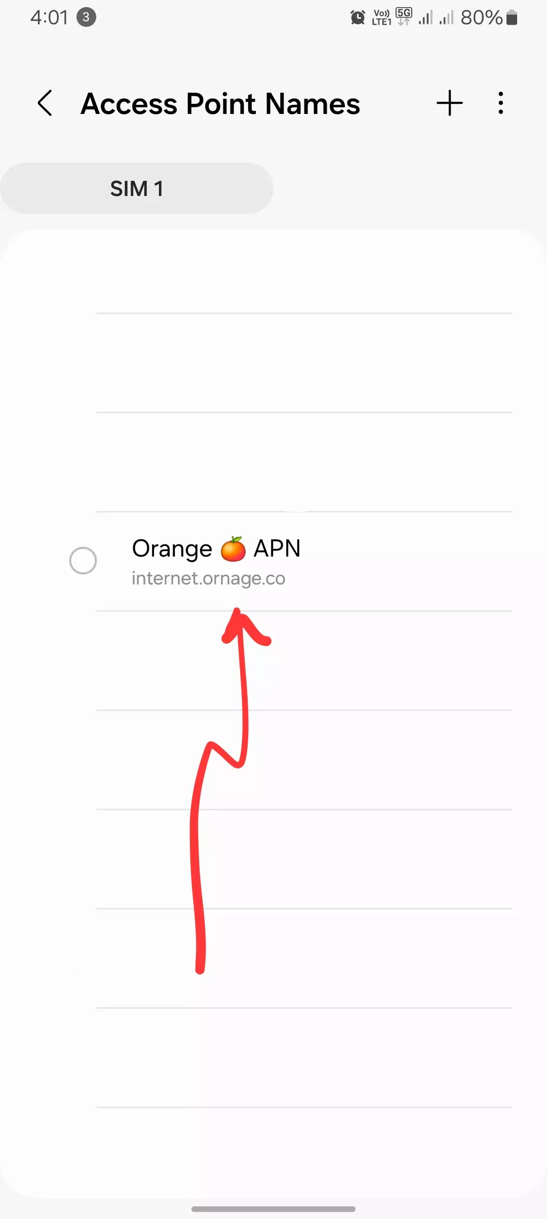 screenshot of access point names for orange internet