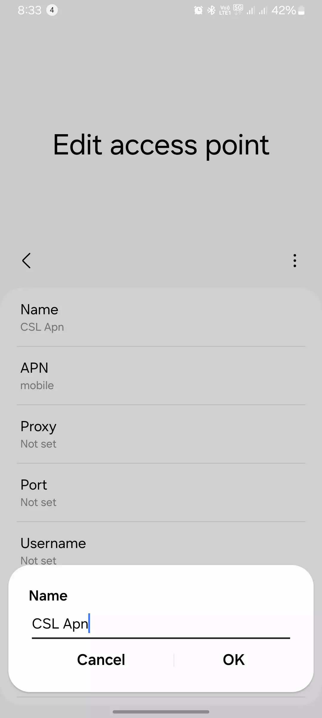 screenshot of naming the apn for csl