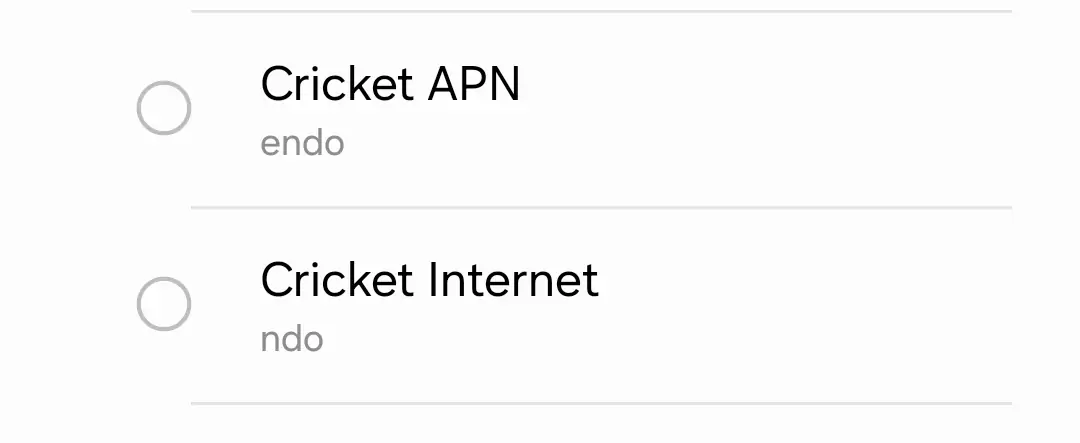 two apn in a cropped screenshot of the internet configurations