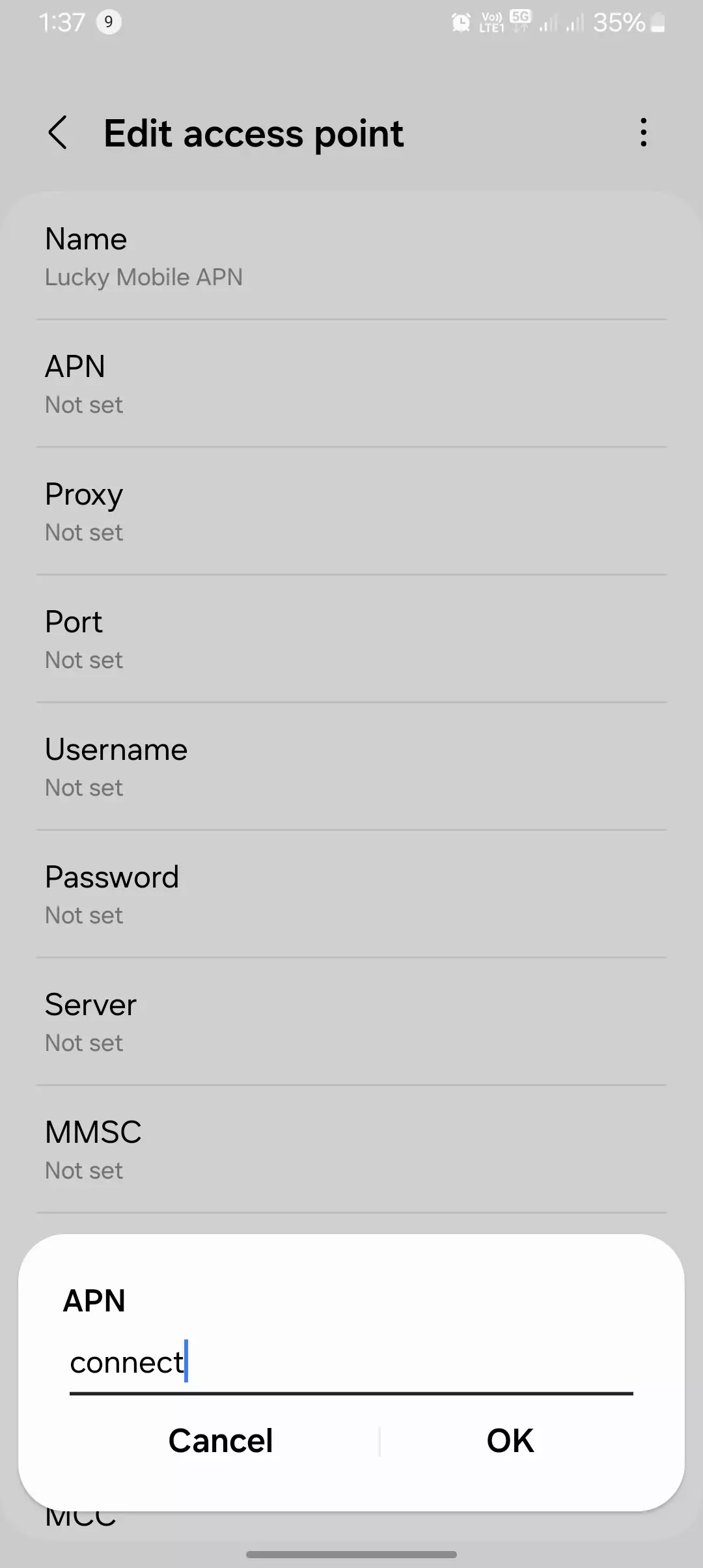 screenshot of adding the apn value into the lucky mobile from edit menu