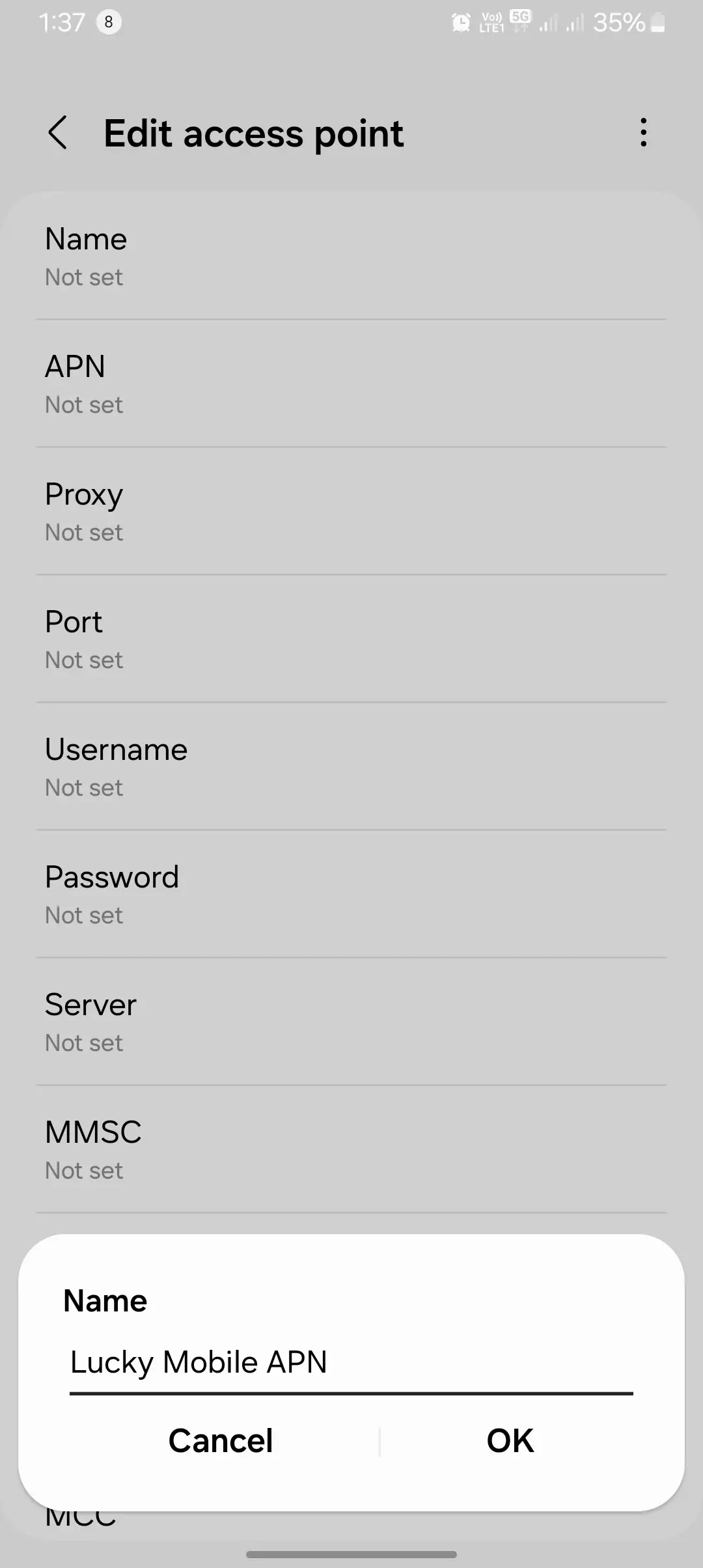 screenshot of mobile setting with naming the apn for lucky mobile