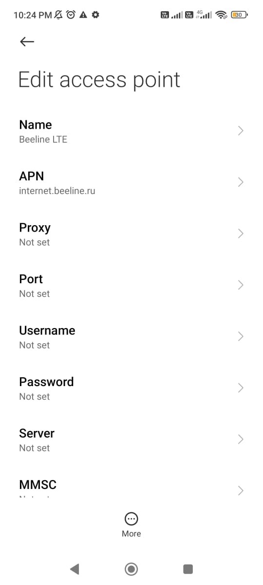 access point names settings with beeline apn