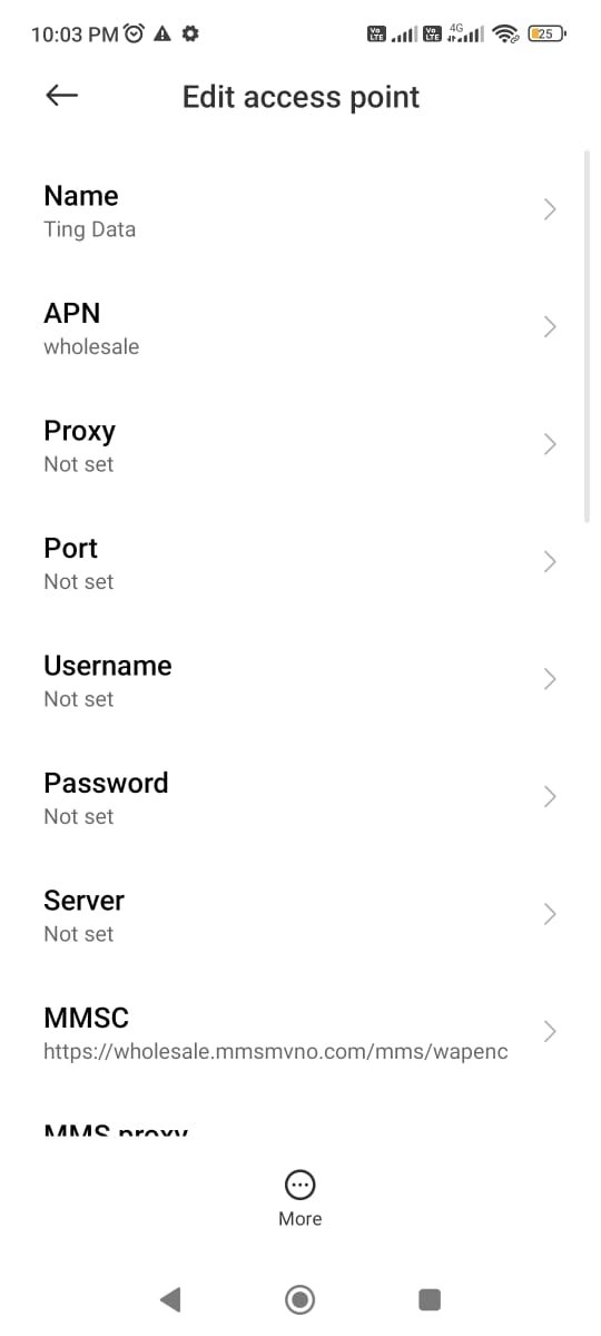 access point names settings with ting apn