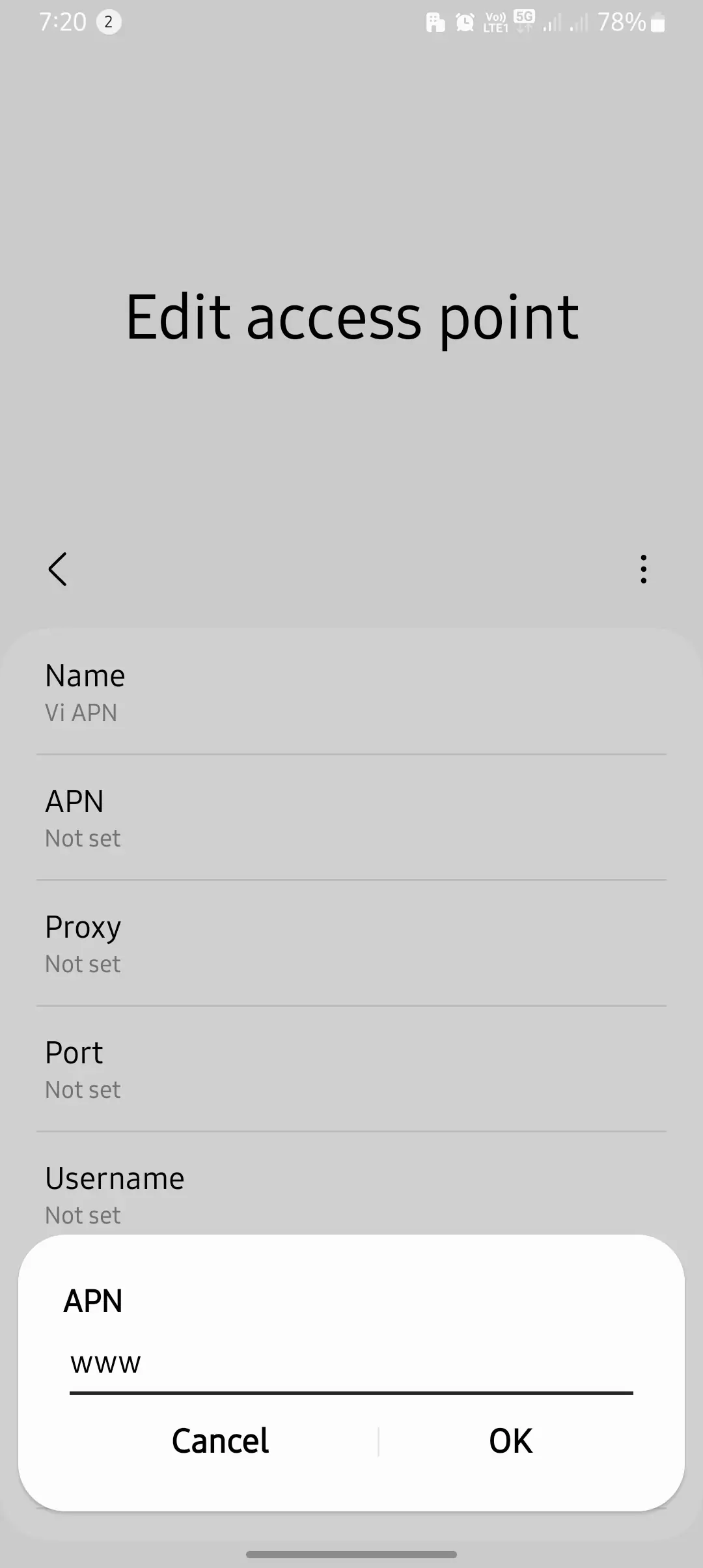 adding the Vi APN internet value into settings