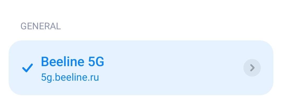 cropped screenshot of configured apn for beeline 5G