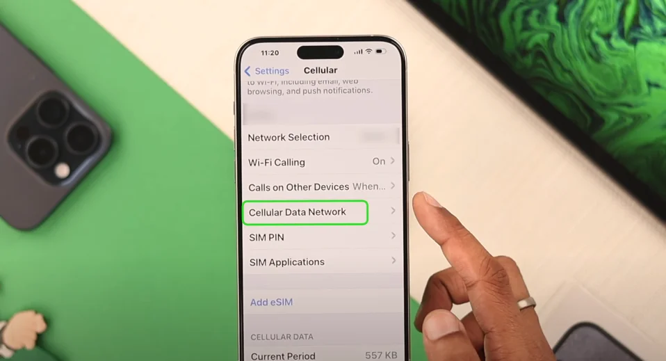 cellular data network settings iphone