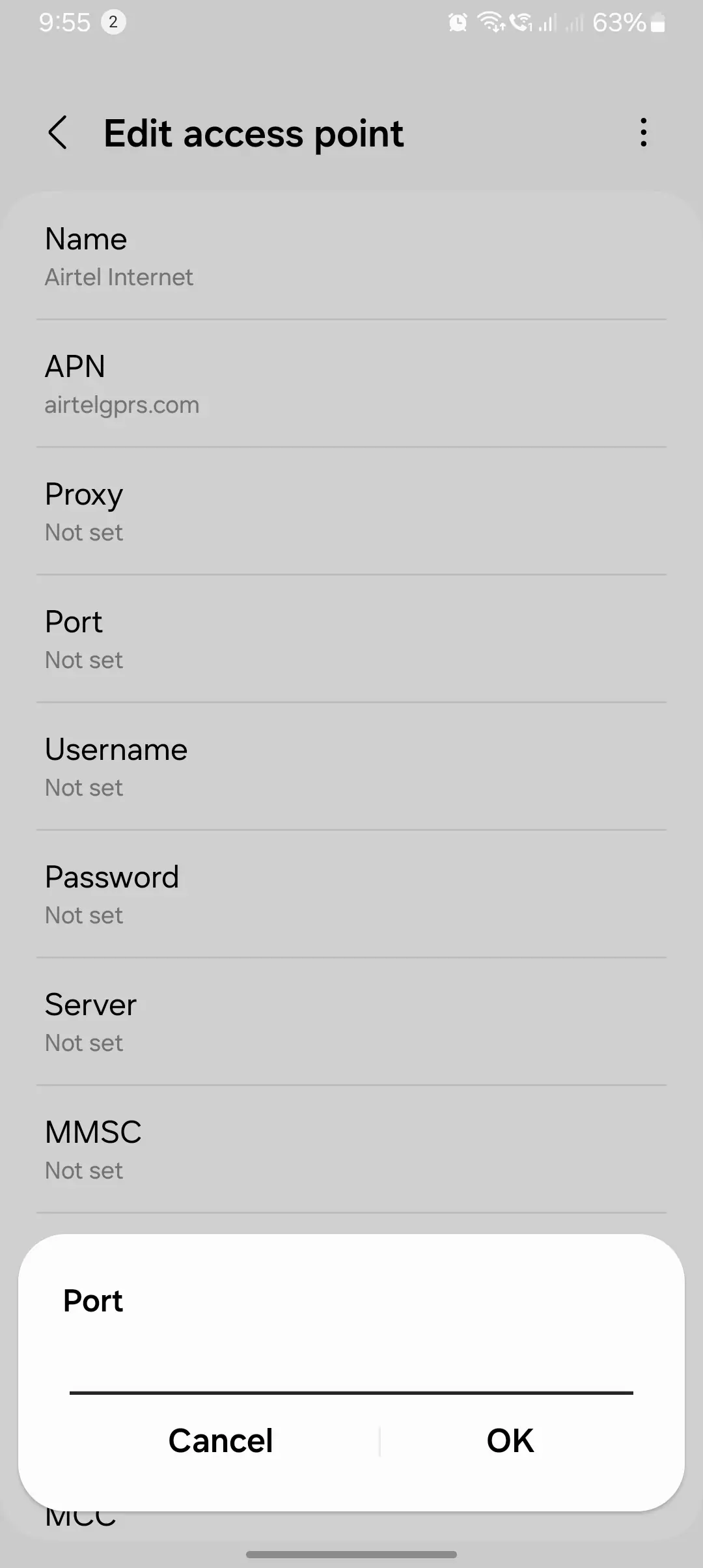 screenshot of adding the value into the port apn