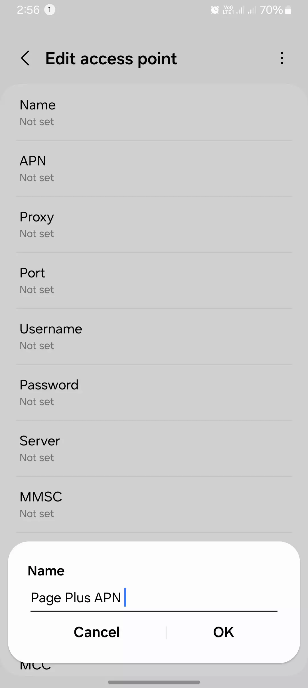 screenshot of naming the apn for page plus