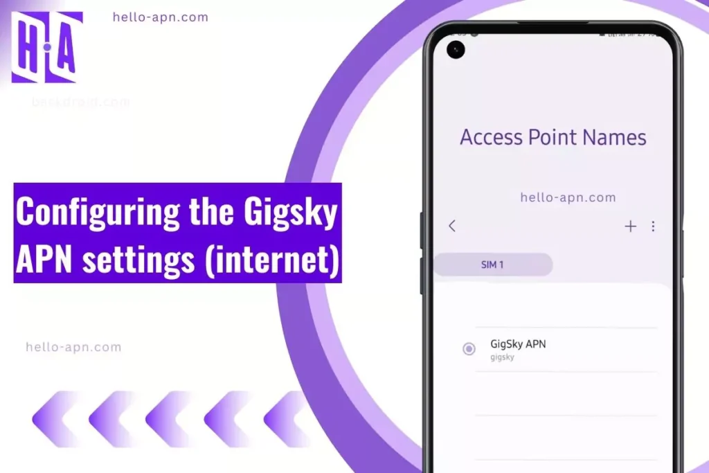 configuring the GigSky with screenshot and same overlay text