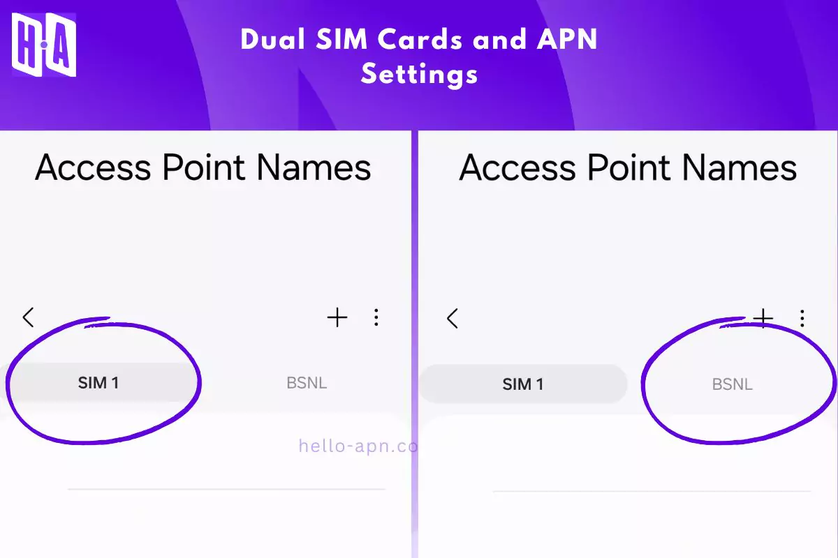 phone with two sim card and their access point names