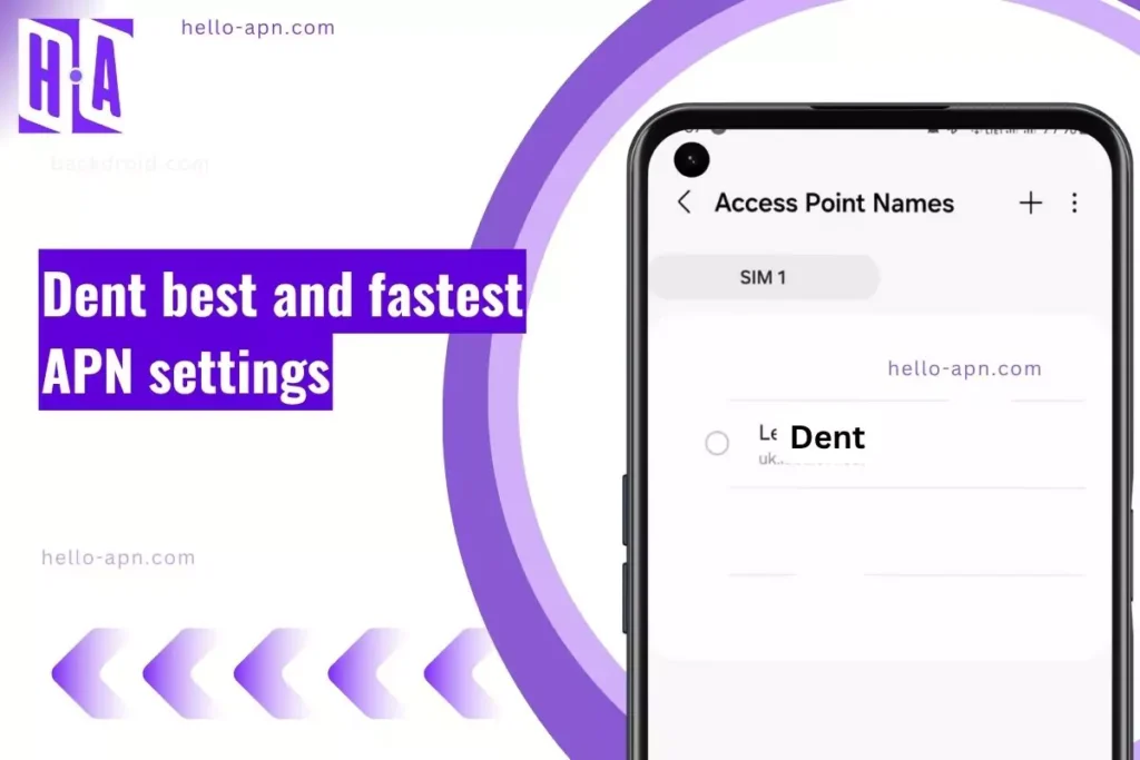 screenshot of Dent APN settings with same overlay text to left