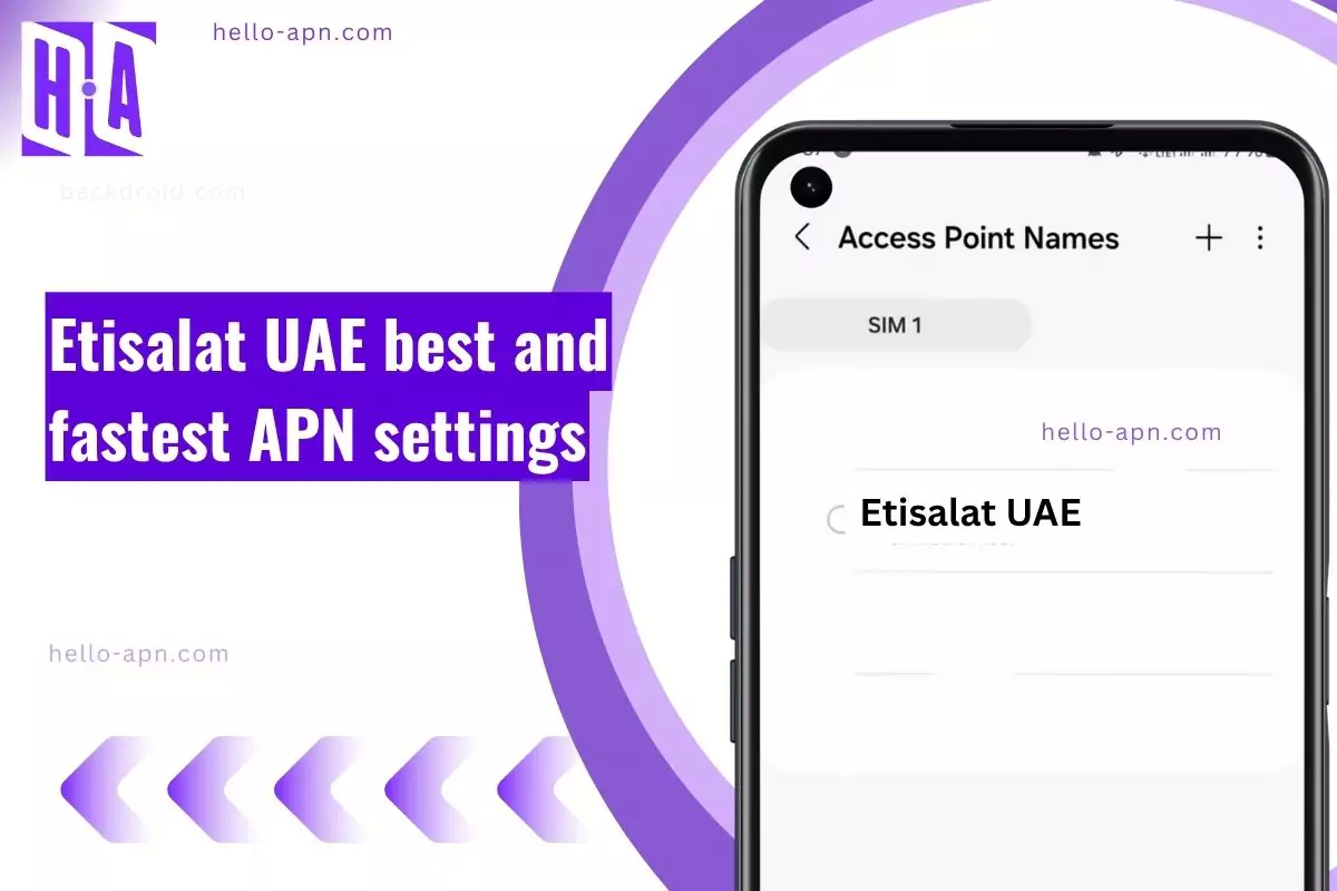 screenshot of the Etisalat UAE with similar text APN